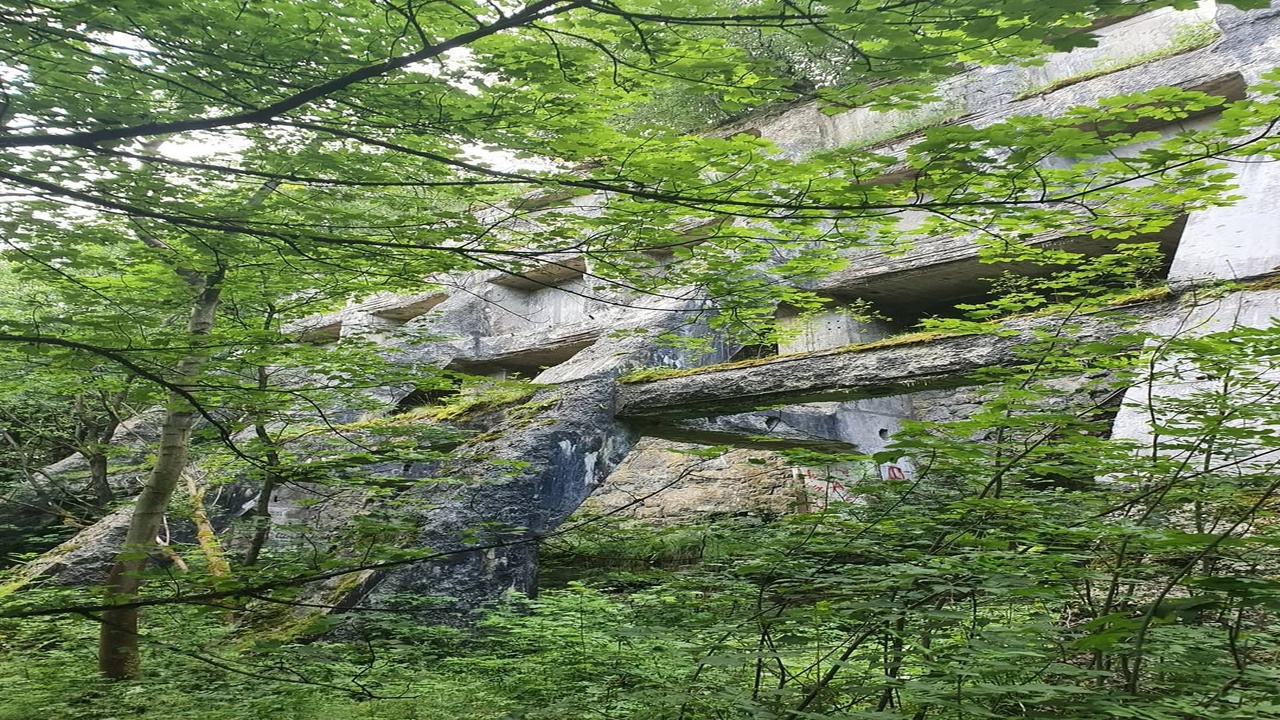Abandoned Limestone Quarries